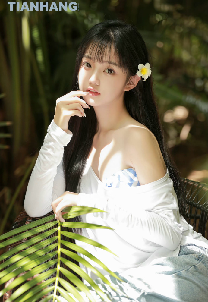 碟中谍6：全面瓦解 封面